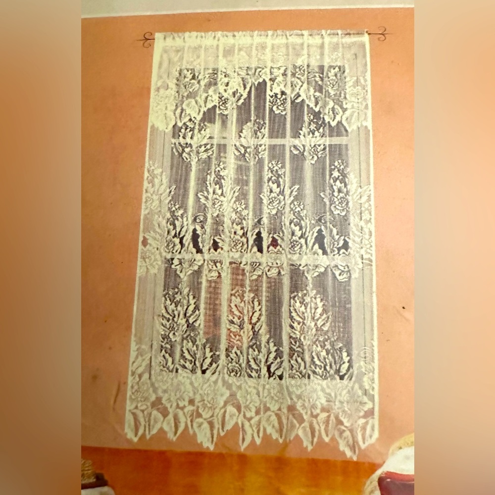 Hallie Lace Curtain Panel with Valance